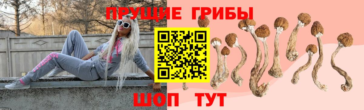 Галлюциногенные грибы MAGIC MUSHROOMS Сибай